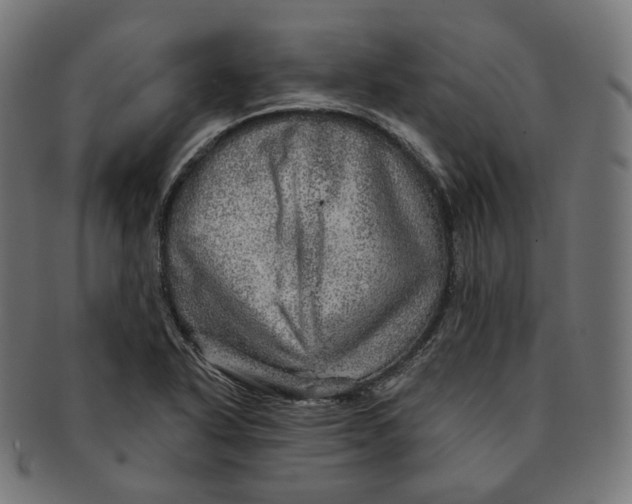 X0000091721318200709210953