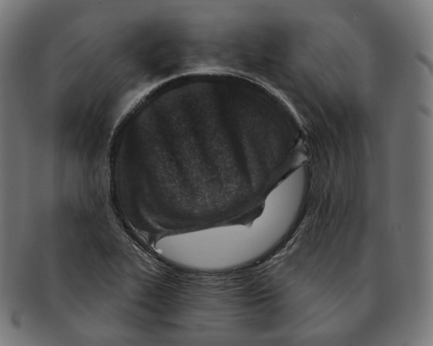 X0000091721319200709210953