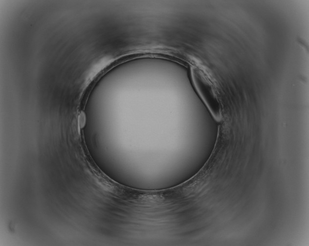 X0000091721320200709210953