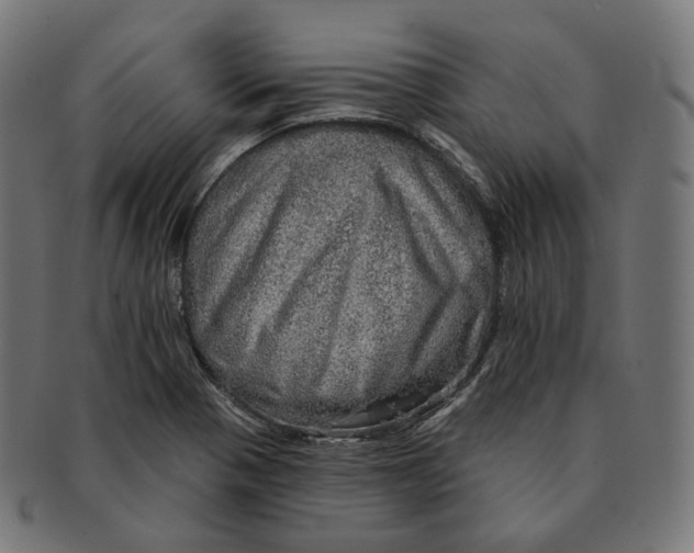 X0000091721321200709210953