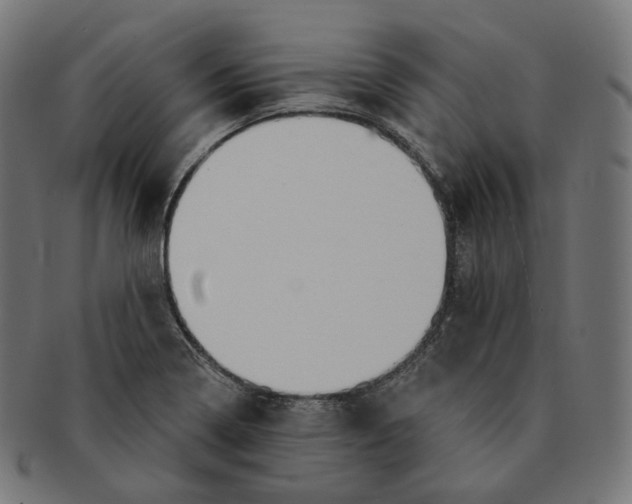 X0000091721322200709210953