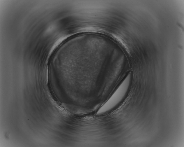 X0000091721323200709210953