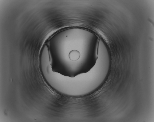 X0000091721324200709210953