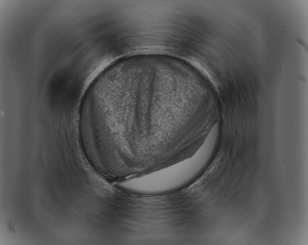 X0000091721325200709210953