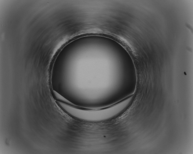 X0000091721326200709210953