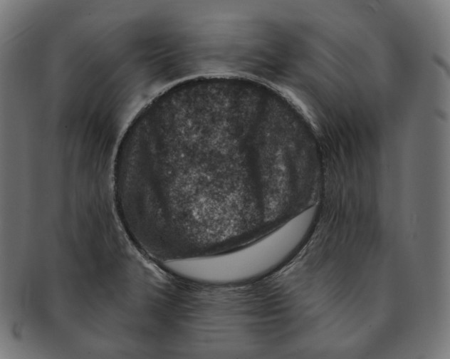 X0000091721327200709210953