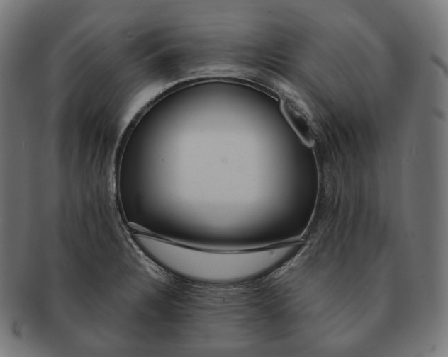 X0000091721328200709210953