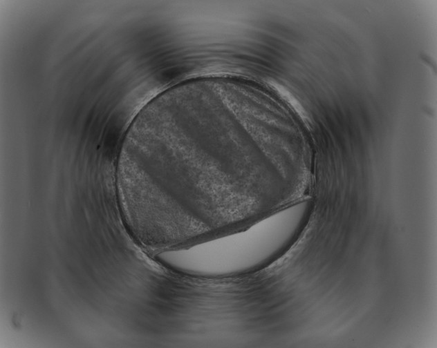 X0000091721329200709210953