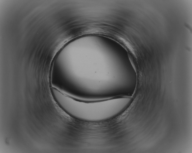 X0000091721330200709210953