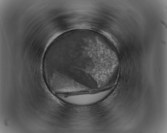 X0000091721331200709210953