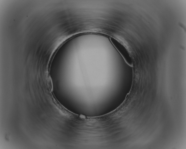 X0000091721332200709210953