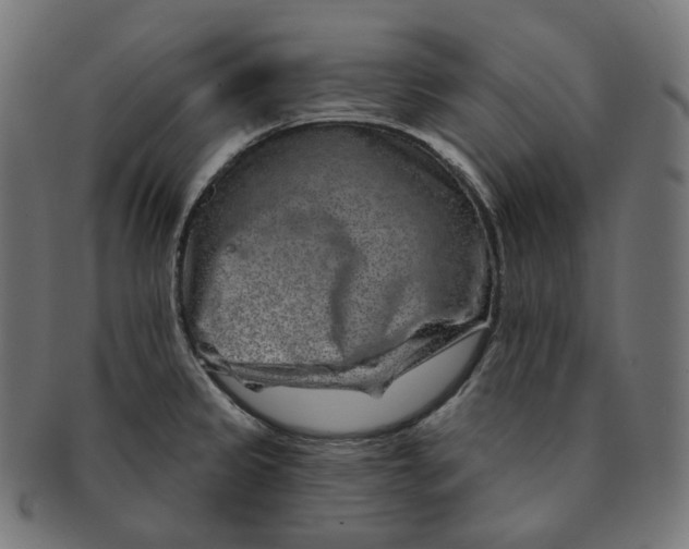 X0000091721333200709210953