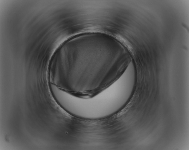 X0000091721334200709210953