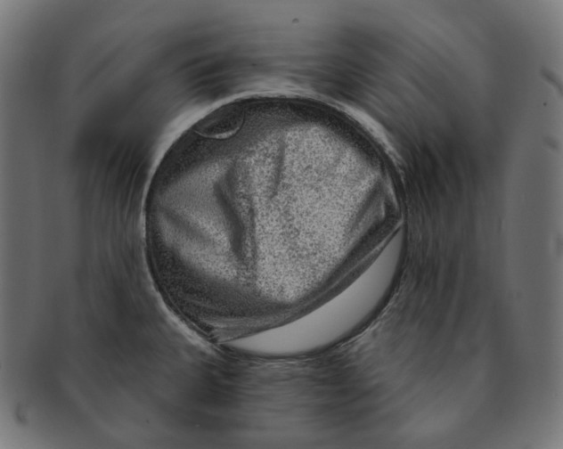 X0000091721335200709210953