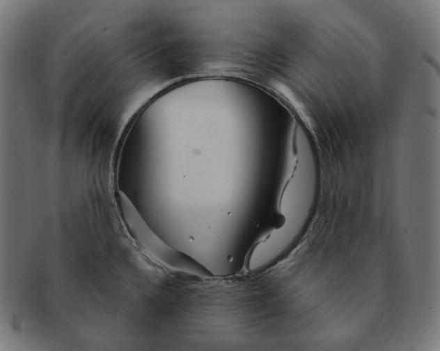 X0000091721336200709210953