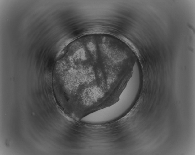 X0000091721337200709210953