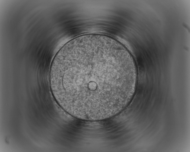 X0000091721338200709210953