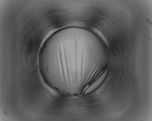 X0000091721339200709210953