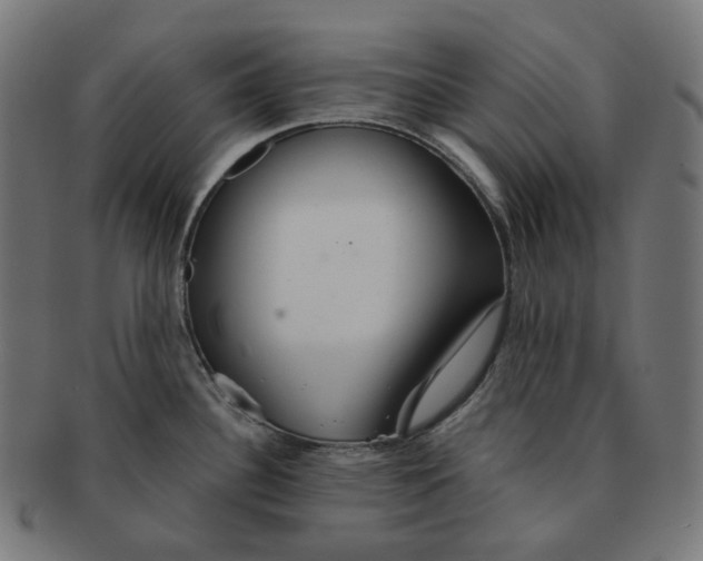 X0000091721340200709210953