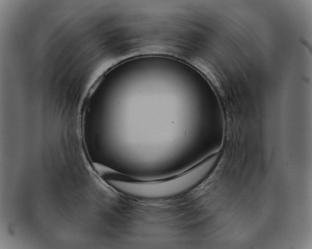 X0000091721342200709210953