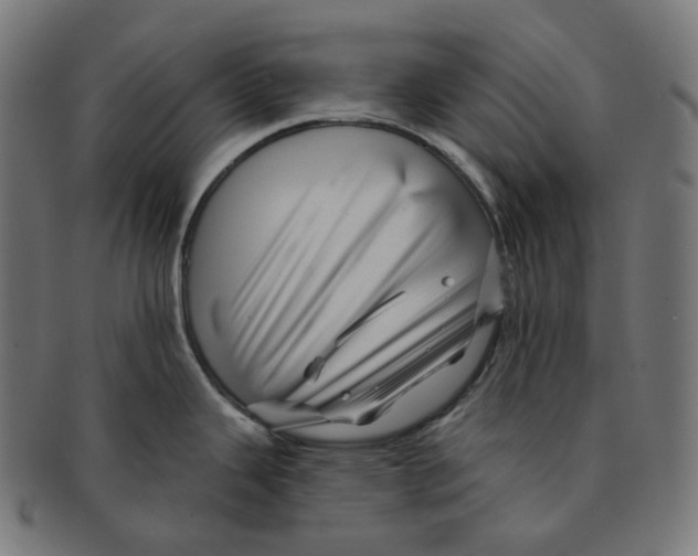 X0000091721343200709210953