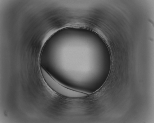 X0000091721344200709210953