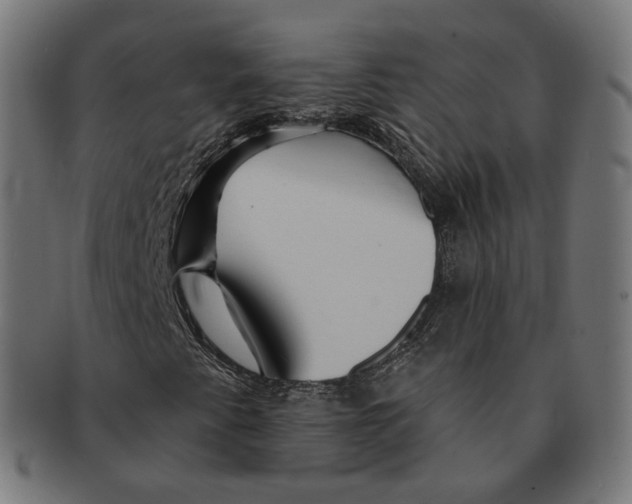 X0000091721345200709210953