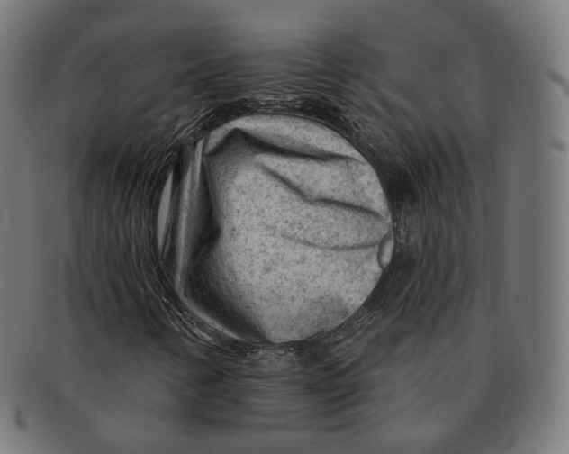 X0000091721346200709210953