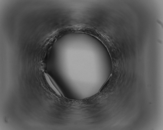 X0000091721349200709210953