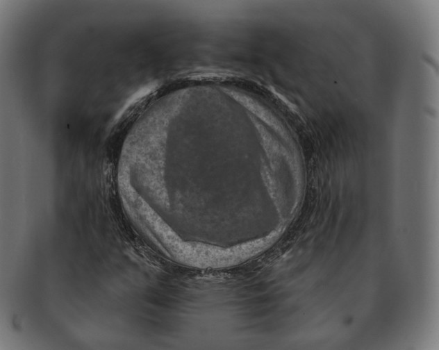 X0000091721351200709210953