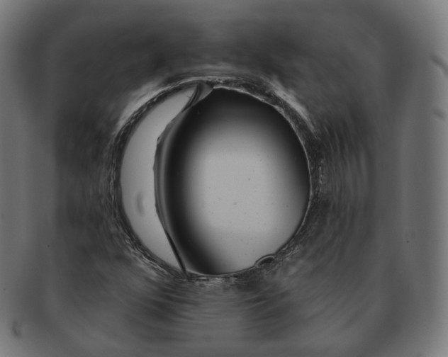 X0000091721352200709210953