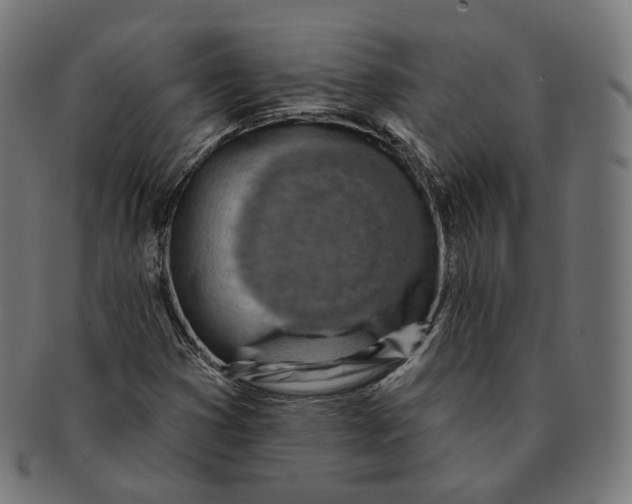 X0000091721353200709210953