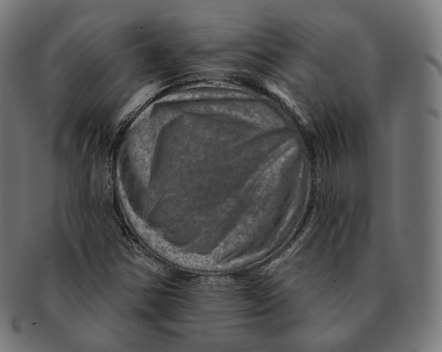 X0000091721354200709210953