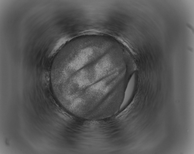 X0000091721355200709210953