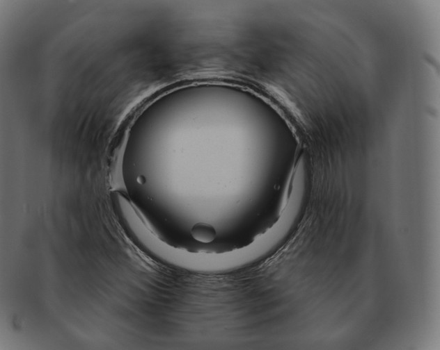 X0000091721356200709210953