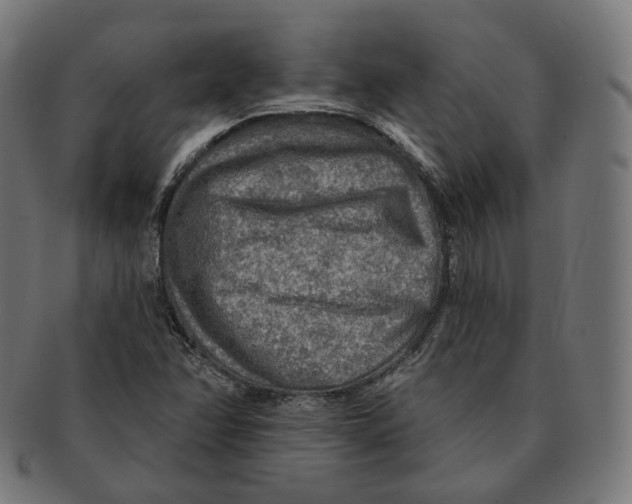 X0000091721358200709210952