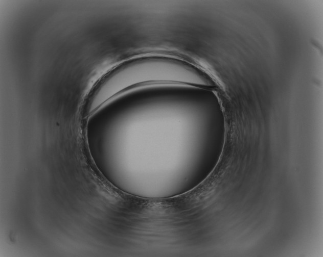 X0000091721360200709210952