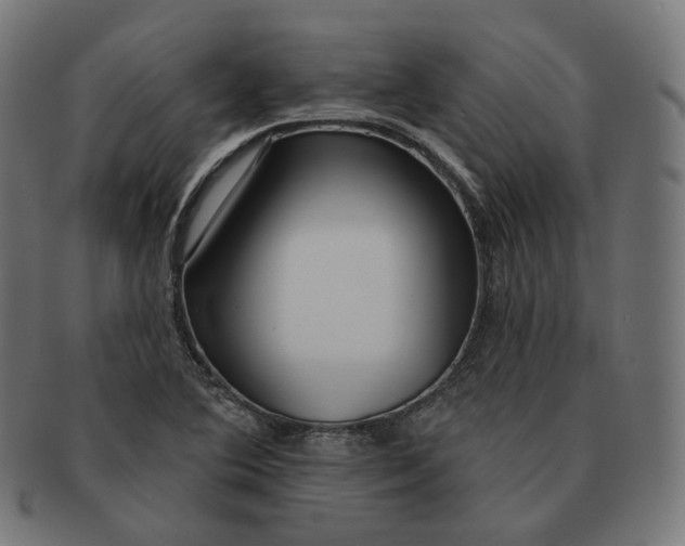 X0000091721364200709210952