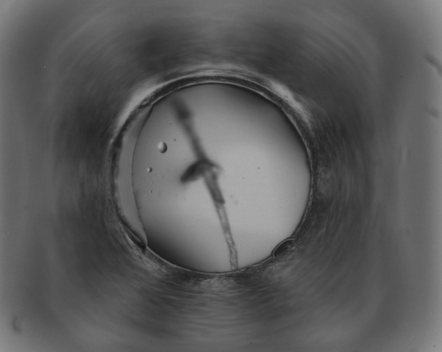 X0000091721368200709210952