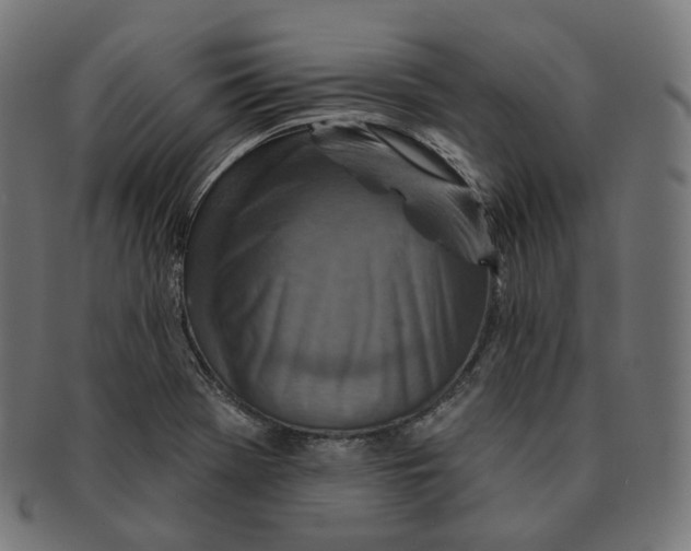 X0000091721369200709210952