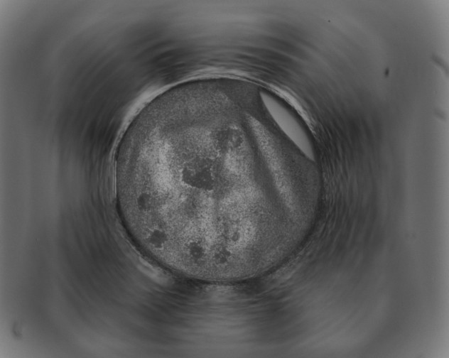 X0000091721371200709210952