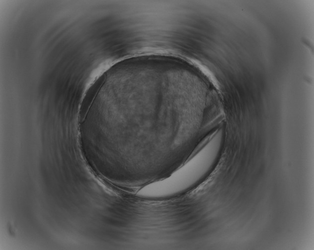 X0000091721373200709210952