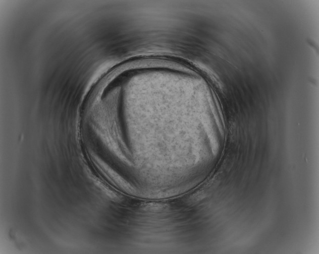 X0000091721374200709210952