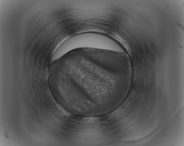 X0000091721377200709210952