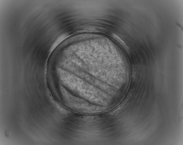 X0000091721378200709210952