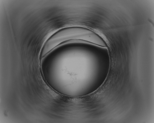 X0000091721380200709210952