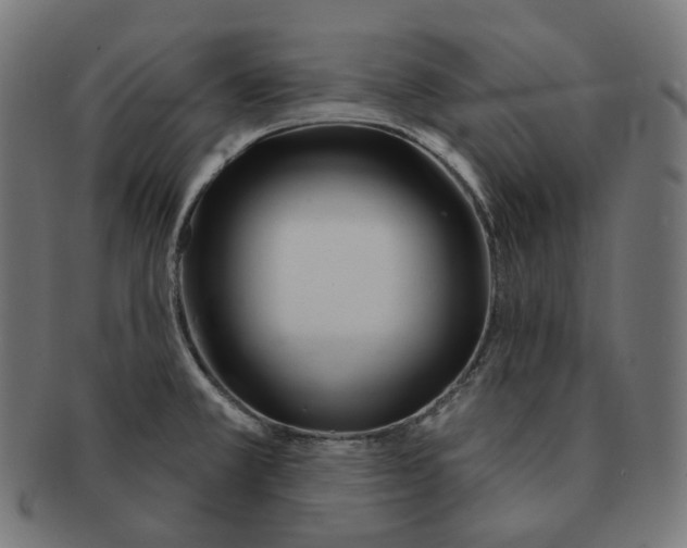 X0000091721381200709210952