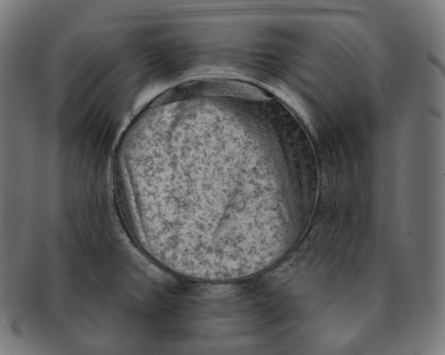 X0000091721382200709210952