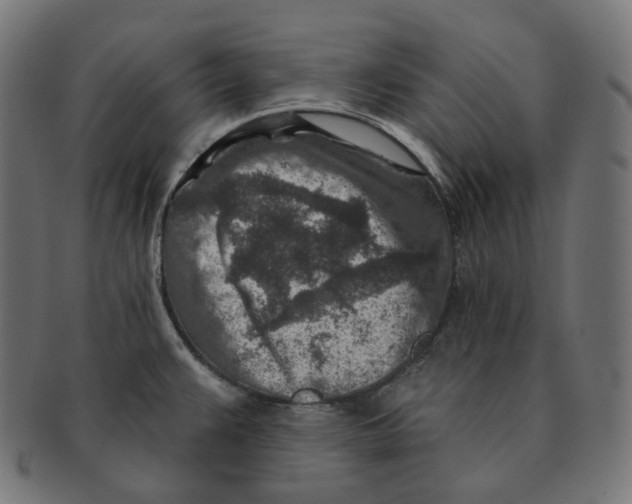 X0000091721383200709210952