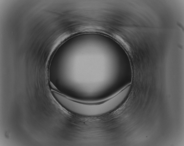 X0000091721384200709210952